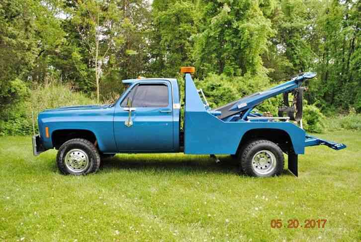 Chevrolet Other Pickups Stainless (1979)