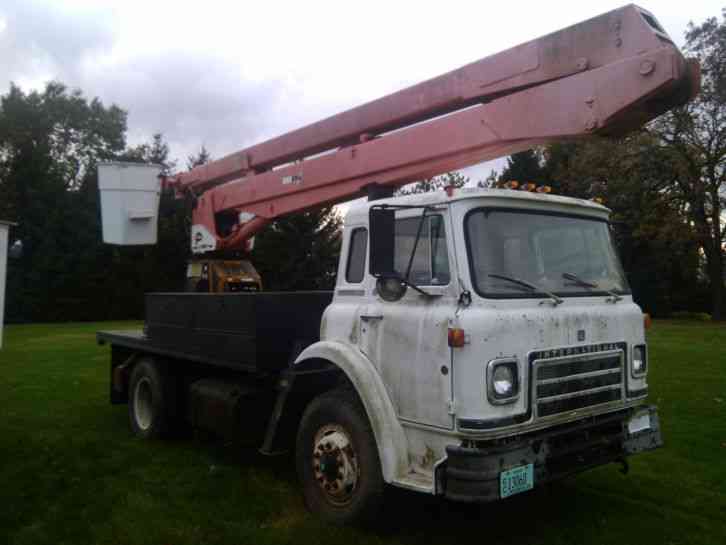 DT466 International 4900 (1981)