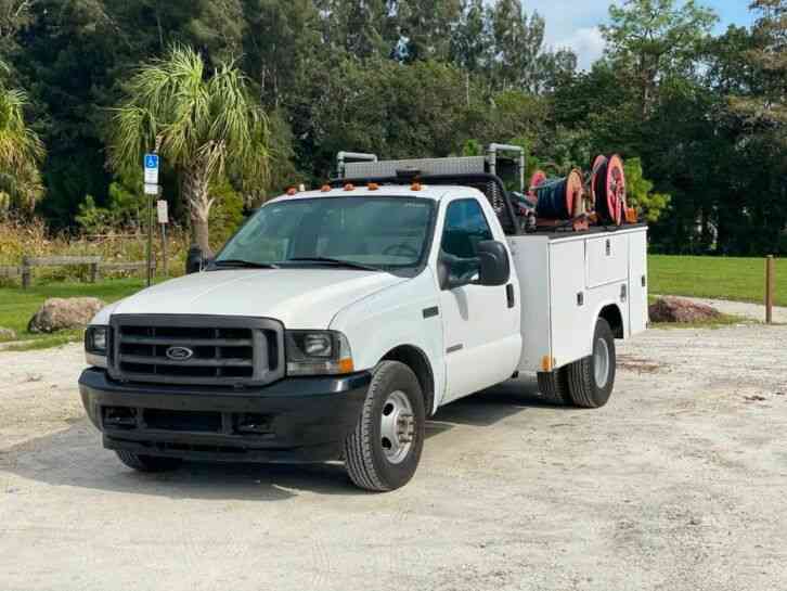 Ford Super Duty F-350 DRW Cab-Chassis (2004)