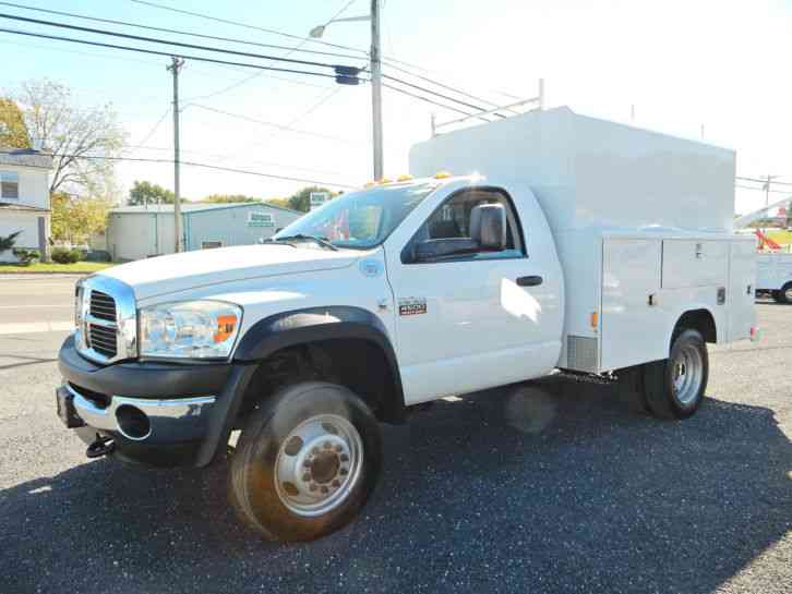 Dodge RAM 4500 HEAVY DUTY (2010)