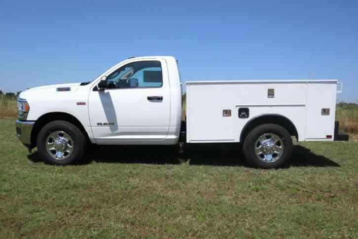 Ram Ram Pickup 2500 (2020)