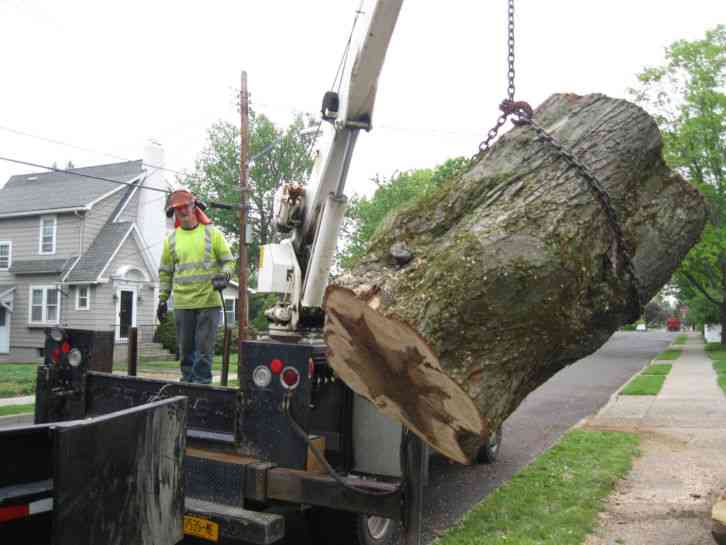 Ford crane truck (2000)