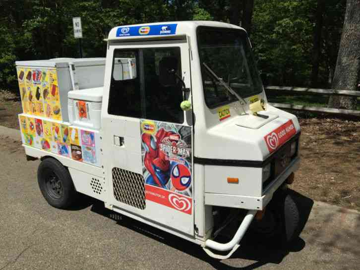 CUSHMAN HAULSTER (1999)